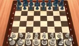 Chess Master 3D